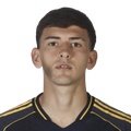 Rey Domenech, Camilo