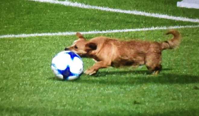 Imagen del partido