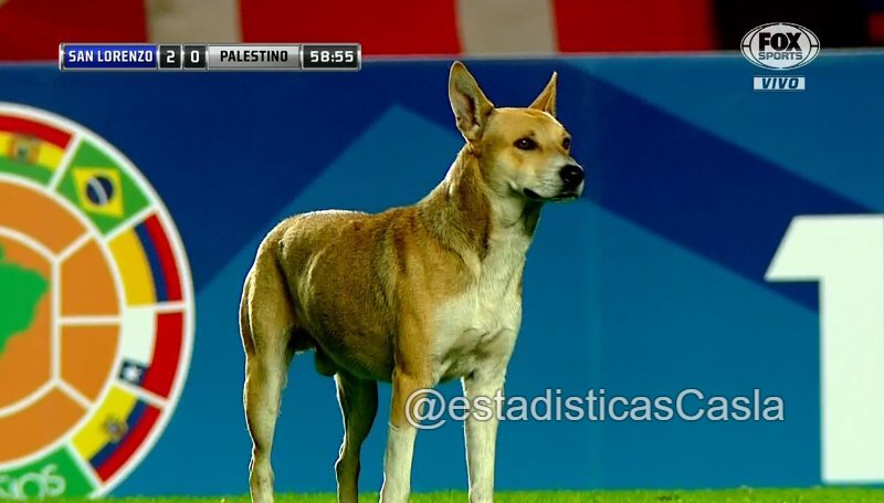Imagen del partido